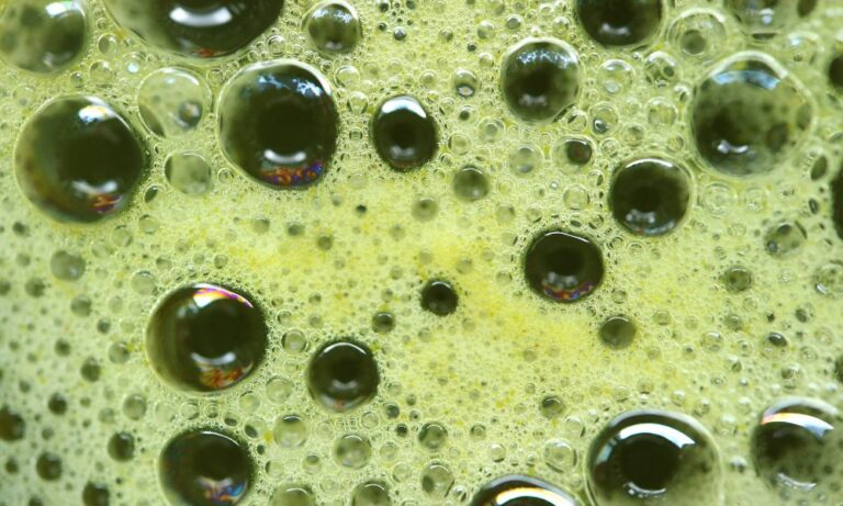 Polyphenols