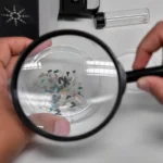 Microplastic Inhalation