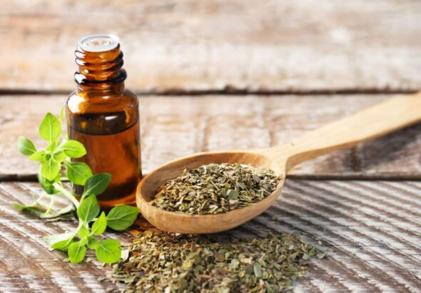 Best Candida Killer A Practical Approach to Regaining Balance and Feeling Better