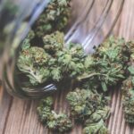 article_10800_featured_1770883991-1