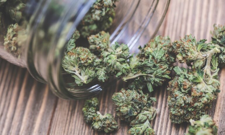 article_10800_featured_1770883991-1