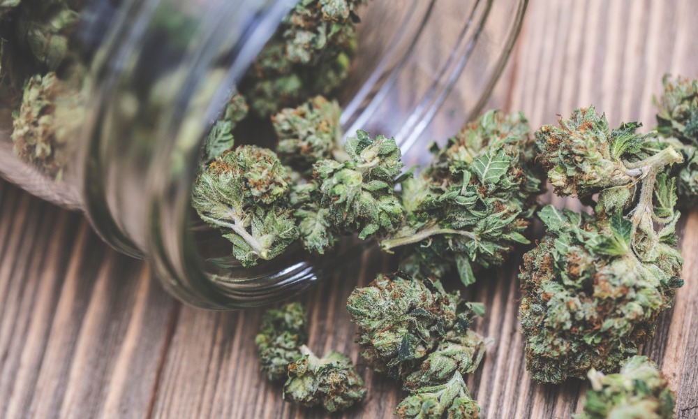 article_10800_featured_1770883991-1