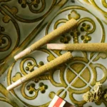 article_11316_featured_1770969451